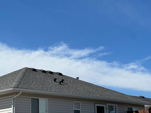 Best Roof Ventilation Installation  in New Castle, IN